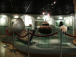 موزه ملی چای