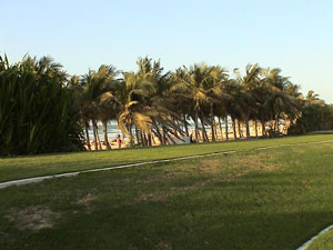 پارک ساحلی جمیرا