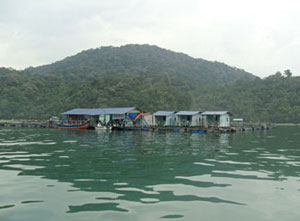 سواحل پنانگ